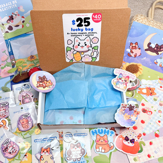 $25 Lucky Bag | 6+ items at $40 value