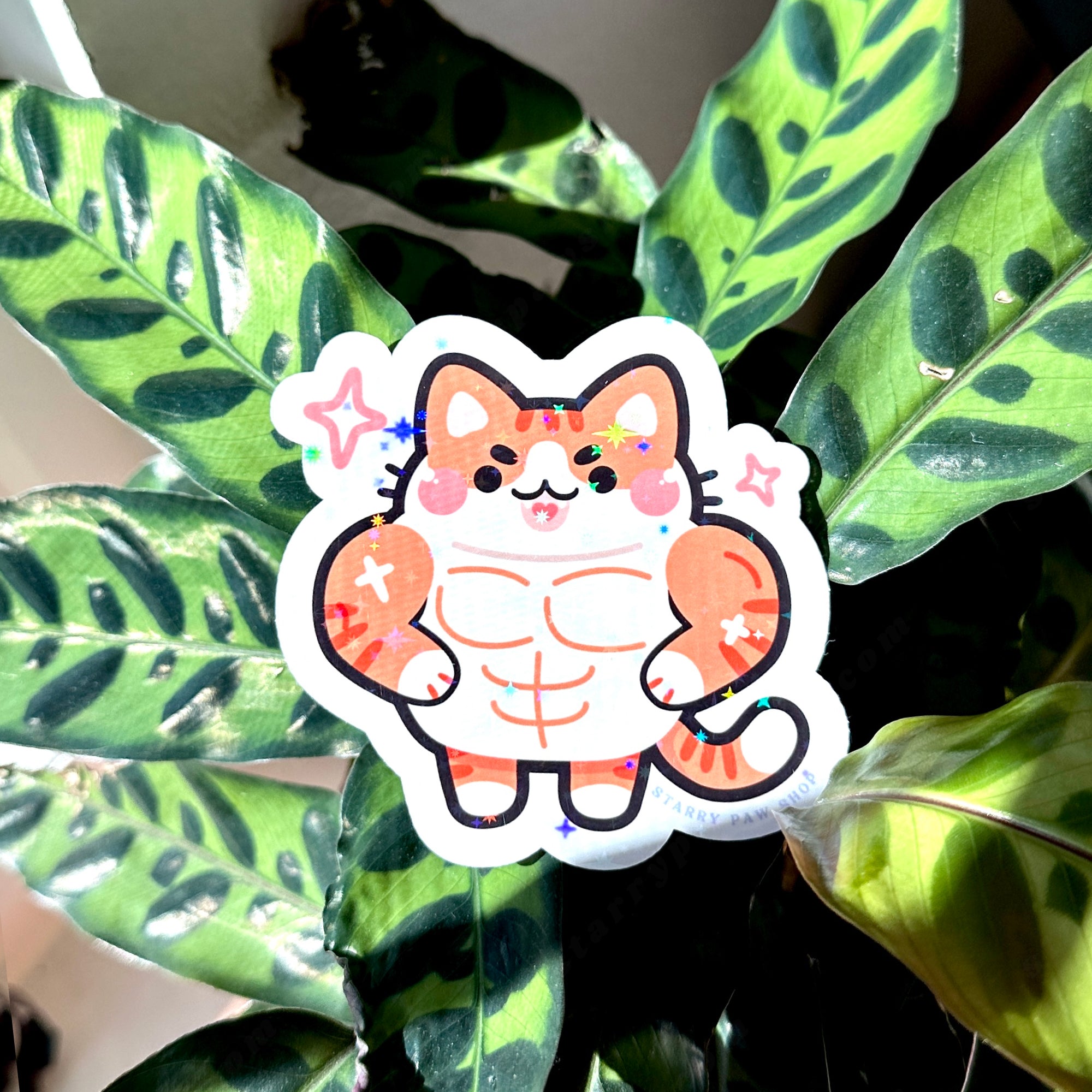 Buff Orange Sticker Buff Cat V1 Stickers | Magnets – Starry Paw Shop