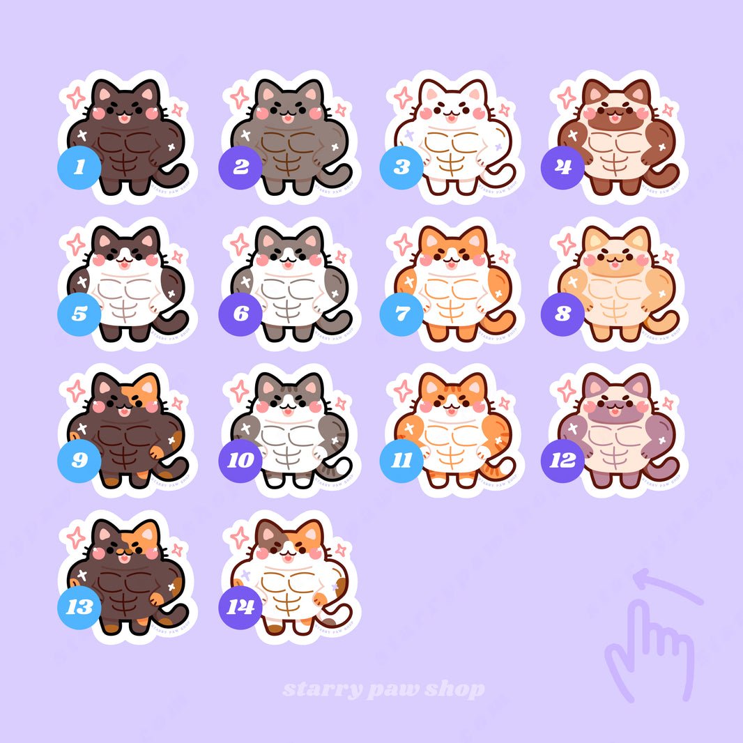 magical gifts from Starry Paw Shop