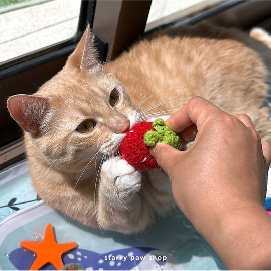 Crochet Fruit Cat Toys