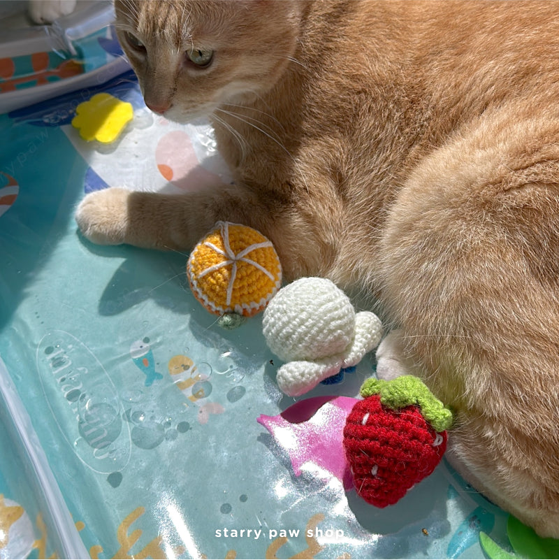 Crochet Fruit Cat Toys