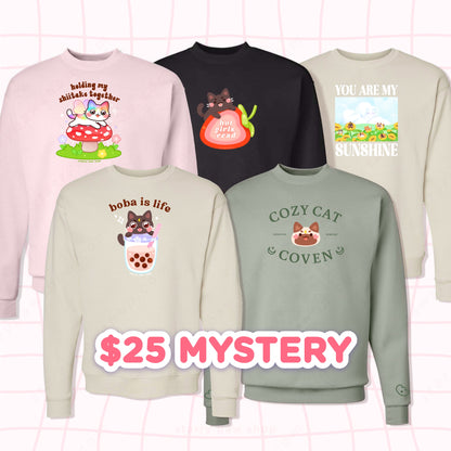 $25 Mystery Sweatshirt SALE! S - 5XL
