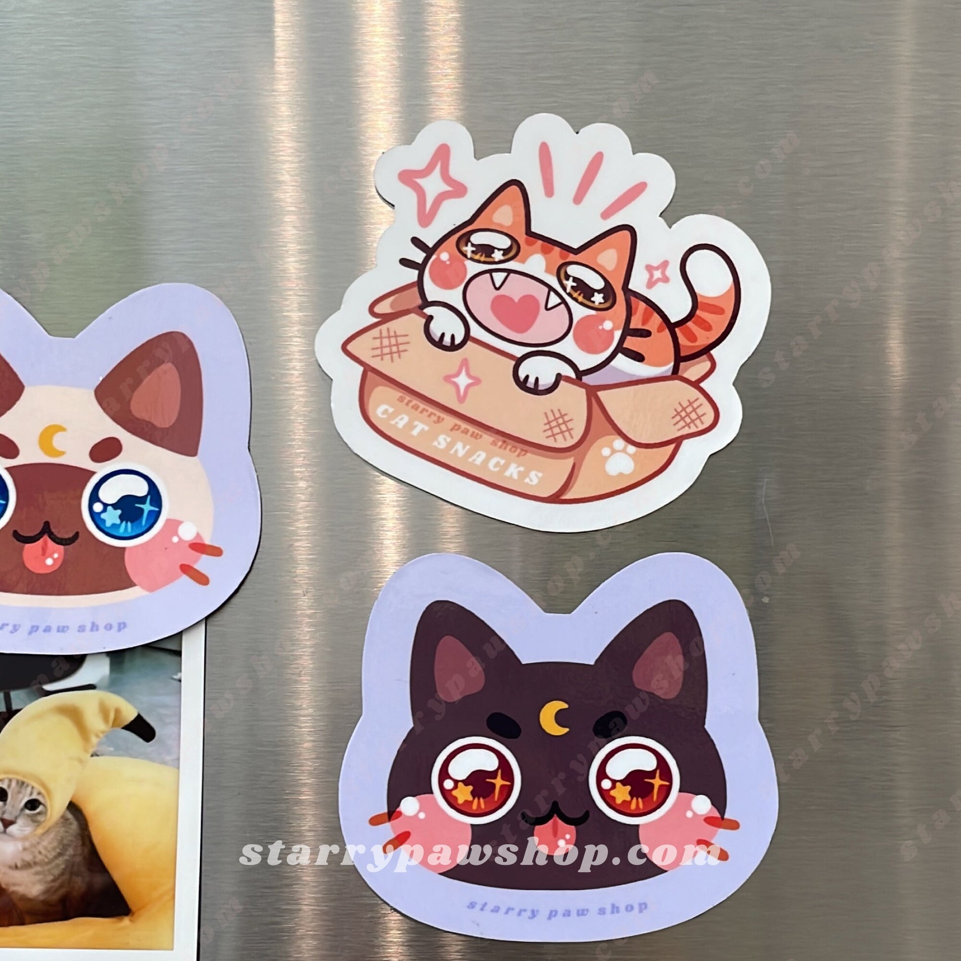 Cute Cat in a Box magnet | 31 Cat Colors with heart meow | Waterproof Glossy Cat Fridge Magnets for indoor & whiteboards